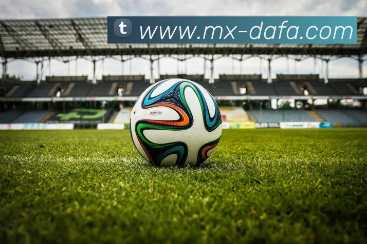 大发彩票平台生态图